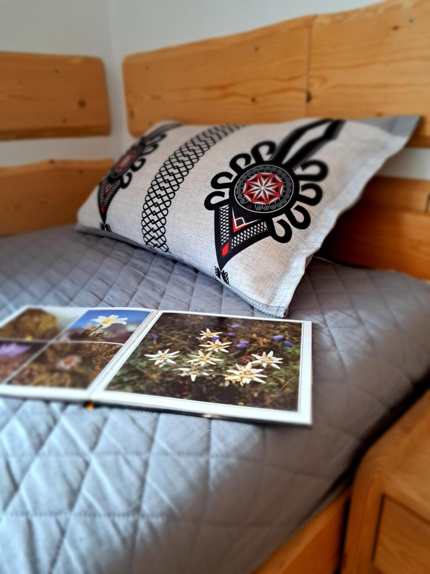 Przy Szlaku Zakopane Centrum Pokoje & Apartamenty Buitenkant foto