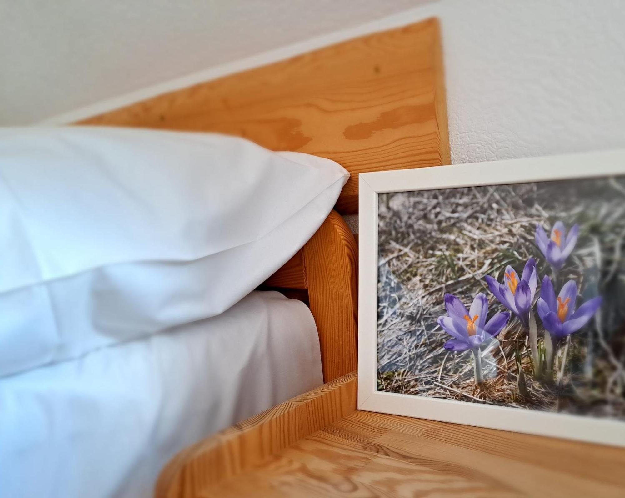 Przy Szlaku Zakopane Centrum Pokoje & Apartamenty Buitenkant foto