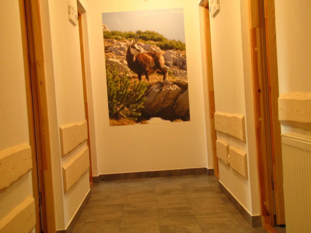 Przy Szlaku Zakopane Centrum Pokoje & Apartamenty Buitenkant foto
