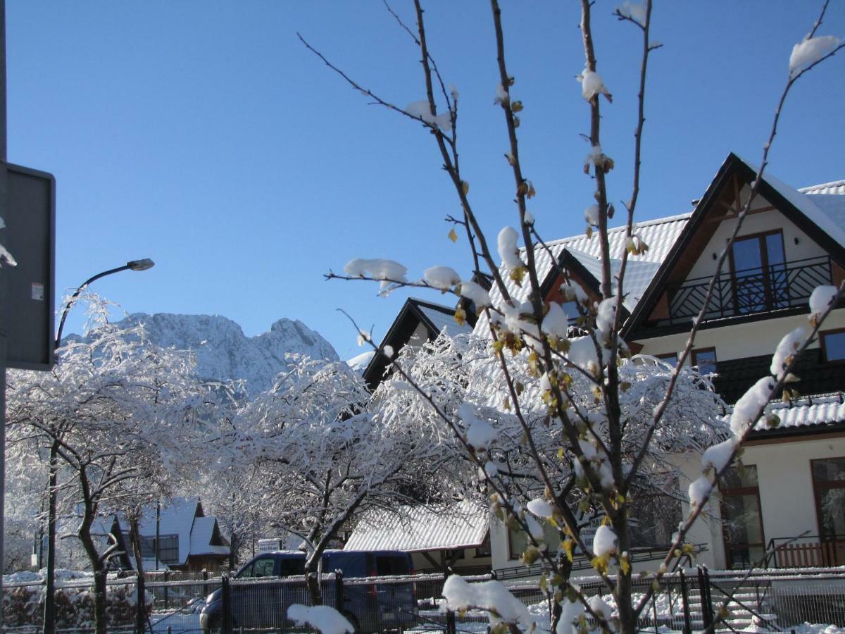 Przy Szlaku Zakopane Centrum Pokoje & Apartamenty Buitenkant foto